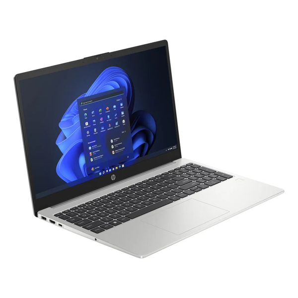 HP 250 G10